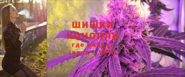 apvp Дегтярск