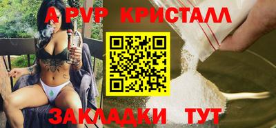 шишки Берёзовский