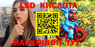 шишки Берёзовский