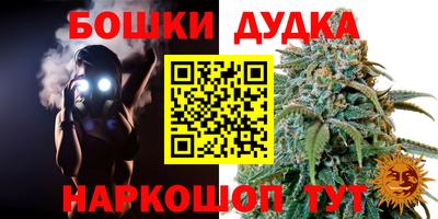 шишки Берёзовский