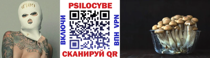 Псилоцибиновые грибы прущие грибы  наркошоп  Искитим 