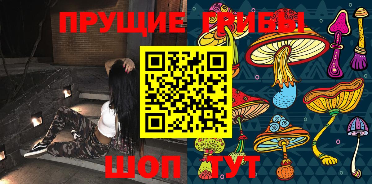 Псилоцибиновые грибы MAGIC MUSHROOMS  Вход с VPN  Псилоцибиновые грибы GOLDEN TEACHER  Искитим 