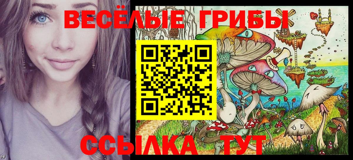 Галлюциногенные грибы MAGIC MUSHROOMS  Искитим  Псилоцибиновые грибы Cubensis 