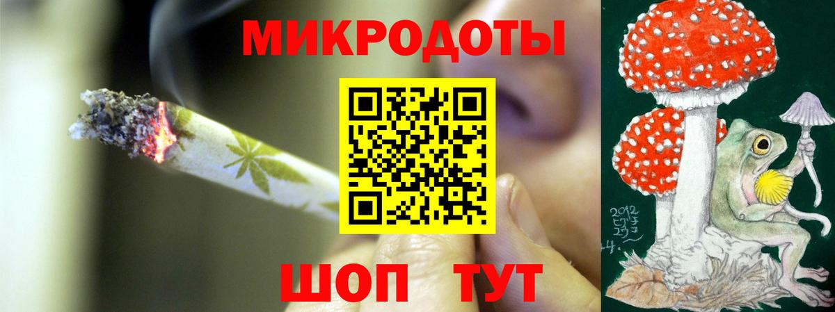 Галлюциногенные грибы Psilocybe Искитим